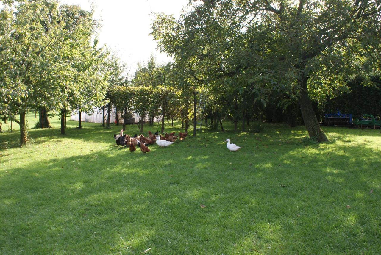 Gasthof Agrogosia *